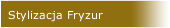 Stylizacja Fryzur