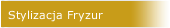 Stylizacja Fryzur